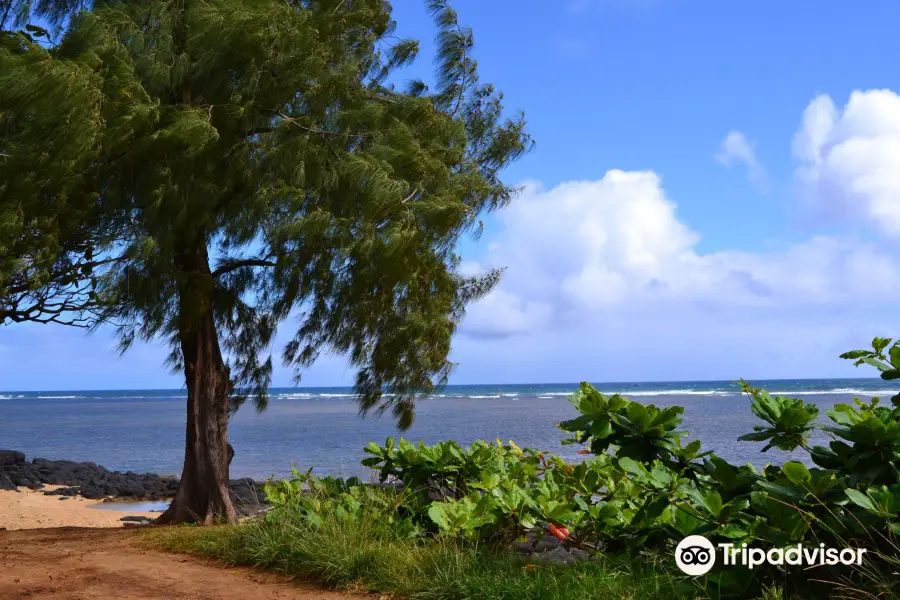 Anini Beach