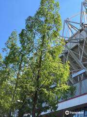 Philips Stadium