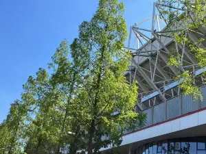 Philips Stadium