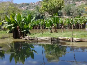 Parc zoologique et botanique de Tsimbazaza