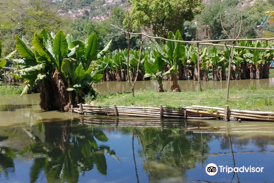 Jardín Botánico y Zoológico de Tsimbazaza