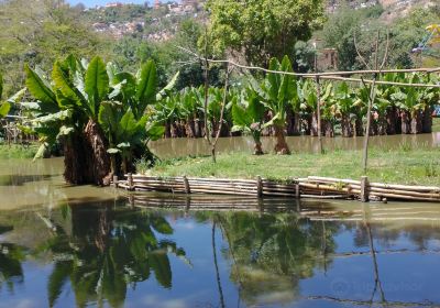 Jardín Botánico y Zoológico de Tsimbazaza