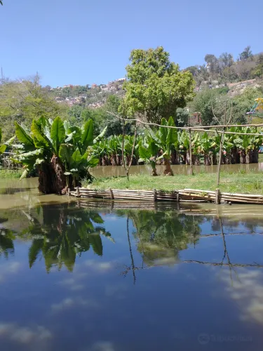 Tsimbazaza Zoo and Botanical Gardens