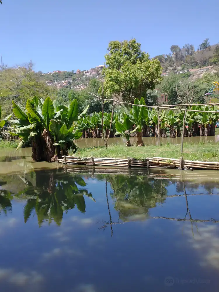 Hotels near Tsimbazaza Zoo and Botanical Gardens