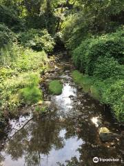 Nature Center At Shaker Lakes