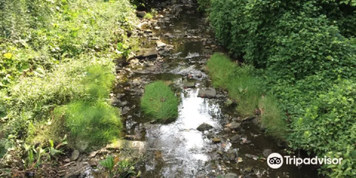 Nature Center at Shaker Lakes