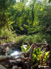 Botanical Garden Of Eilat