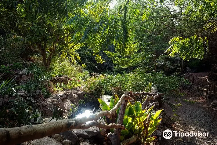 Botanical Garden Of Eilat