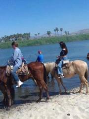 Bonanza Horseback Riding