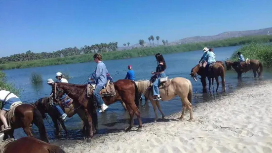 Bonanza Horse Riding