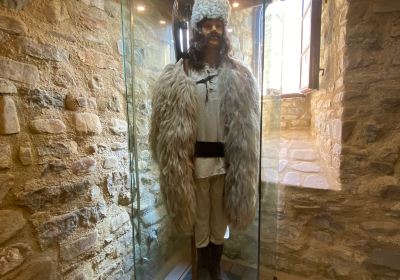 Cetatea Neamt