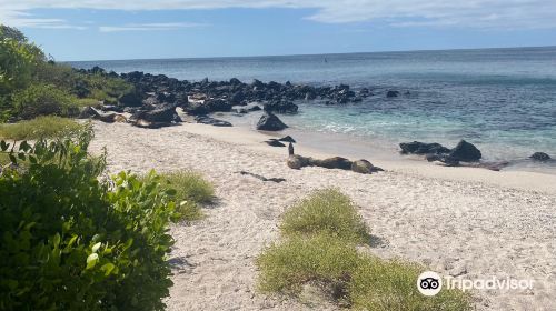 Playa Baquerizo