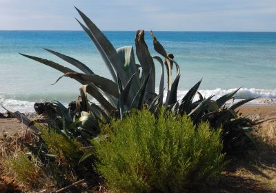 Kalo Nero Beach