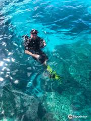 Top Dive, Bora Bora