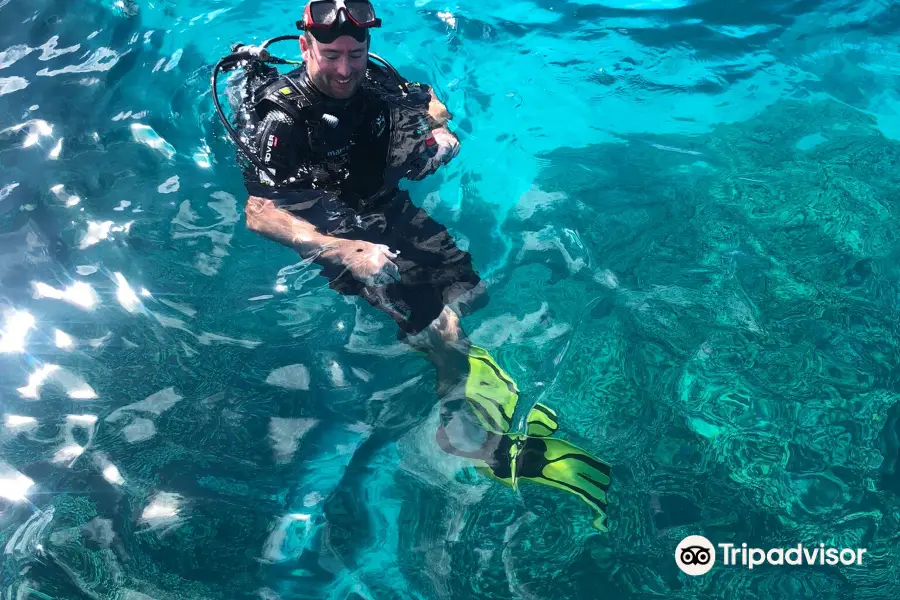 Top Dive, Bora Bora