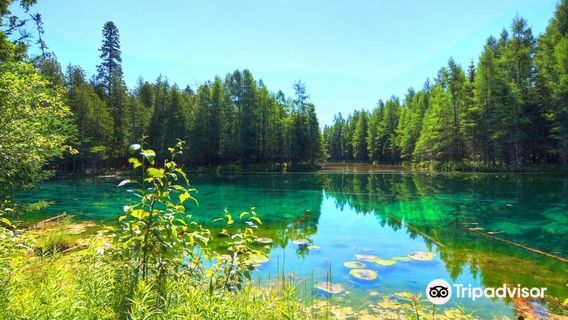Palms Book State Park