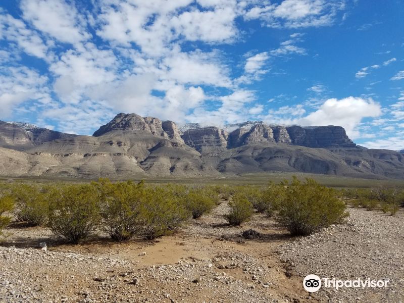 Vol Las Vegas Alamogordo