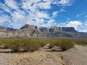 Oliver Lee Memorial State Park