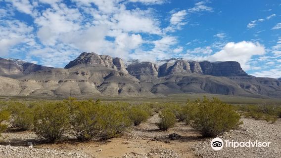 Oliver Lee Memorial State Park