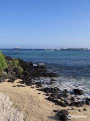 Playa de La Estacion