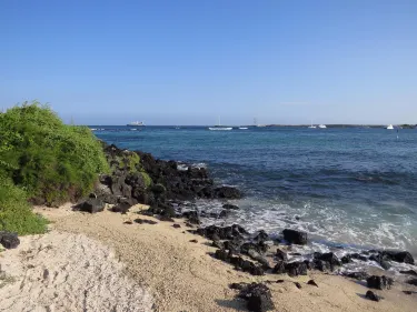 Playa de La Estacion