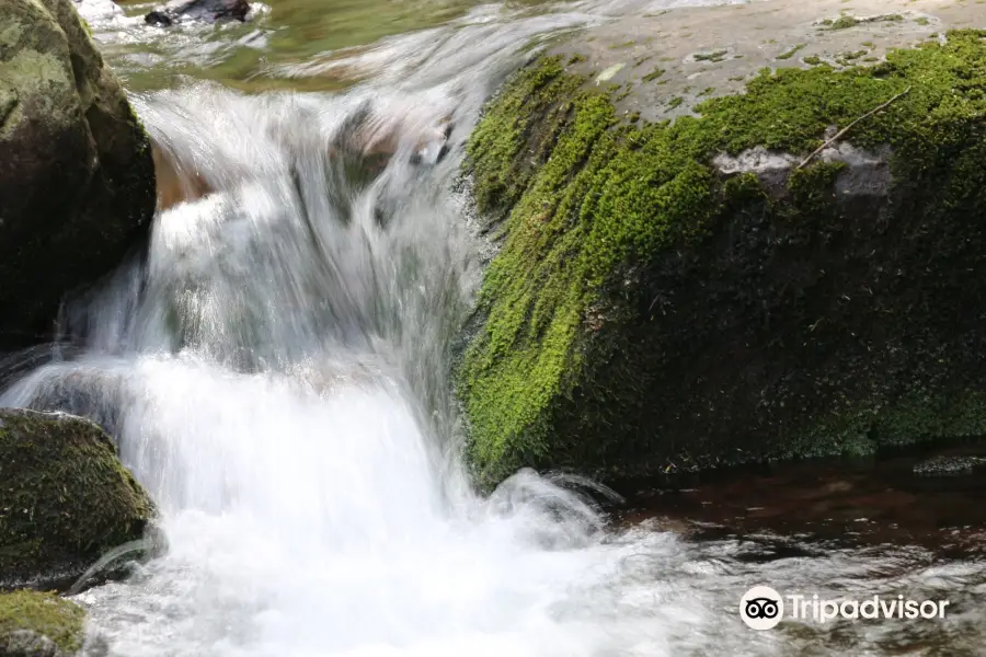 Buttermilk Falls