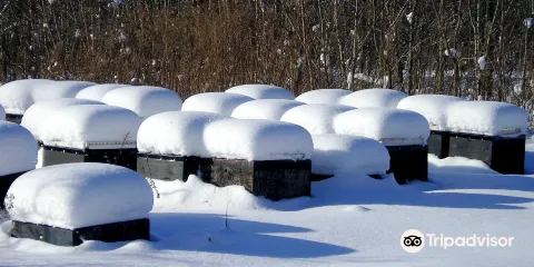 Les Trois Acres/Three Acres