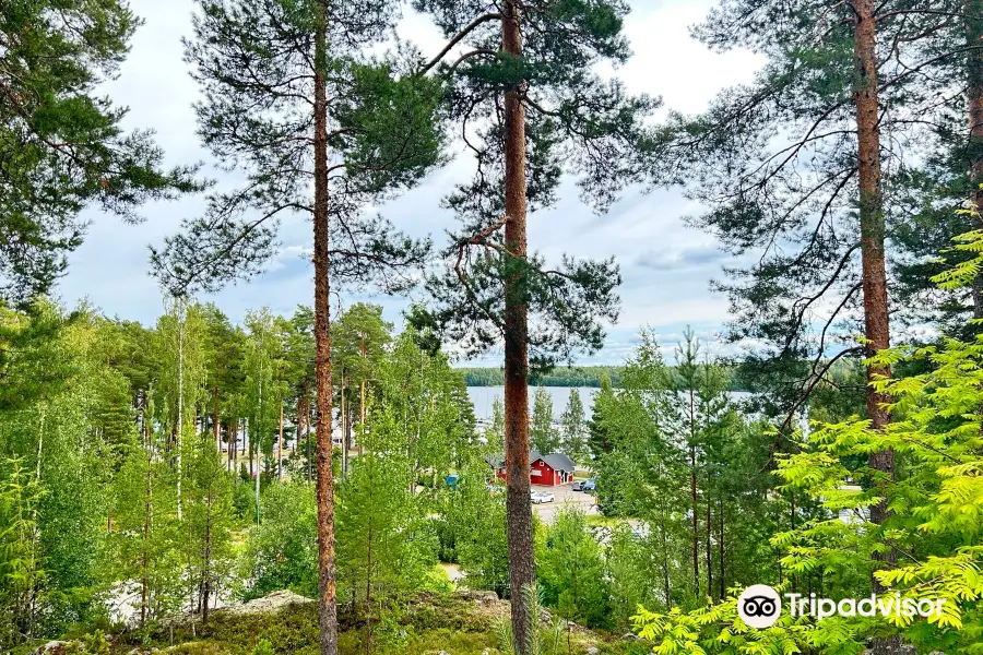 Padasjoki DiscGolfPark