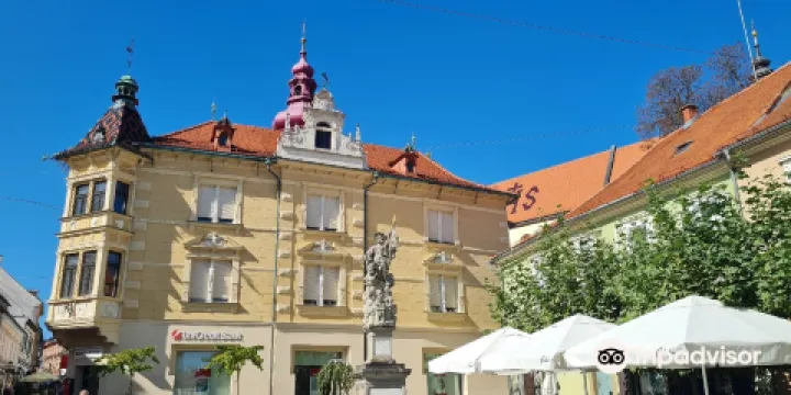 Ptuj City Tower
