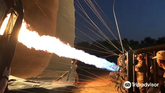 杜拜沙漠冒險熱氣球體驗半日遊觀賞沙漠日出免費茶或咖啡獵鷹表演