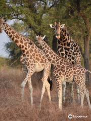 Zakouma National Park