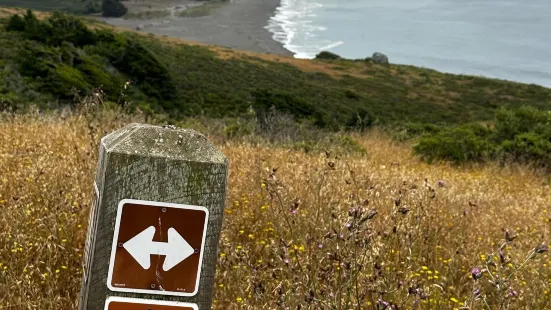 Jenner Headlands