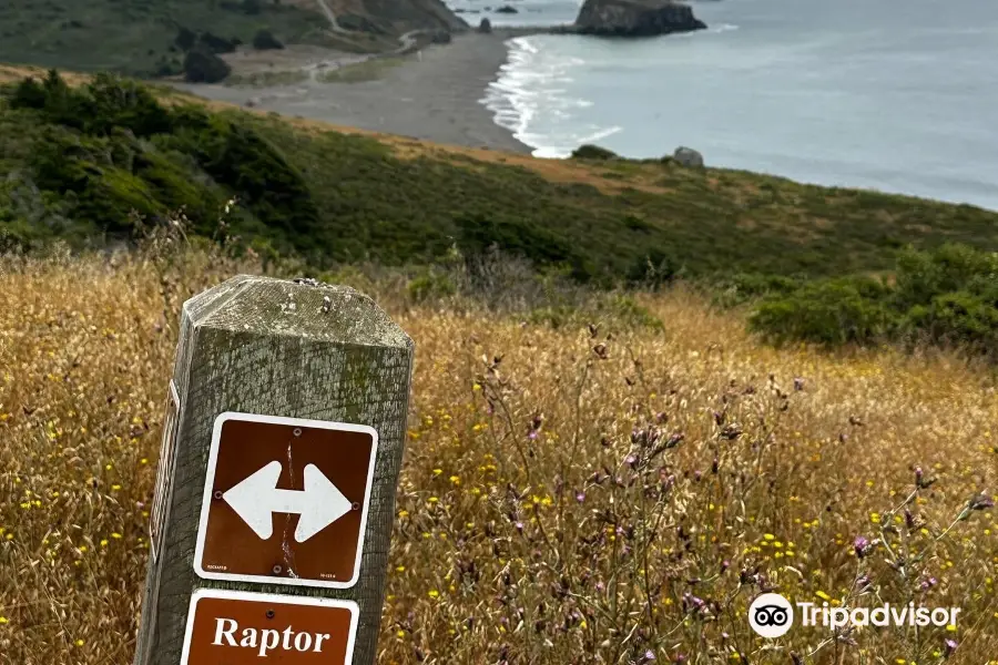 Jenner Headlands