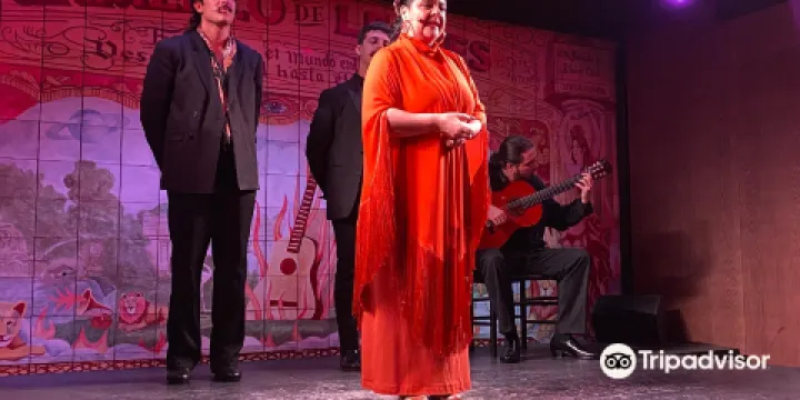 Flamenco de Leones弗拉明戈表演秀