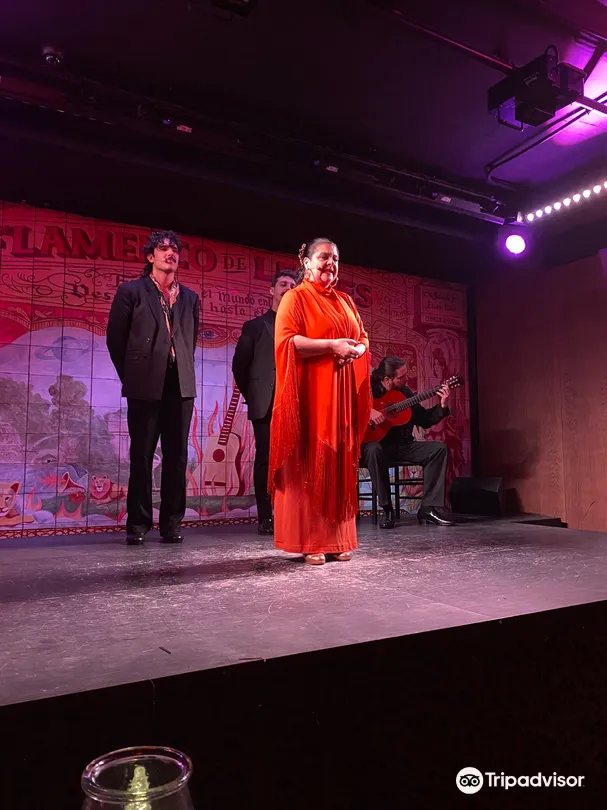 1_Flamenco de Leones