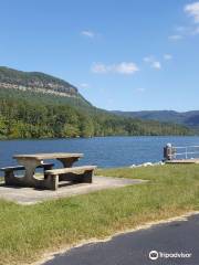 Raccoon Mountain Dam