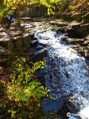 Indian Run Falls