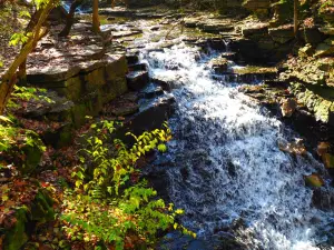 Indian Run Falls