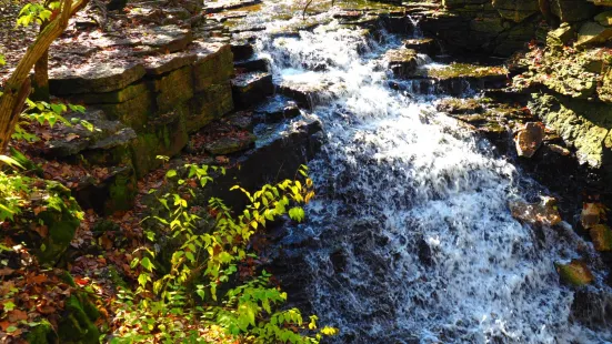 Indian Run Falls