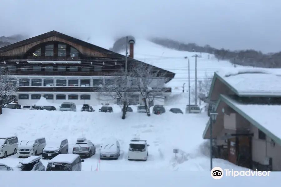 Kamoidake Ski Association