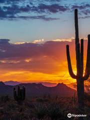 Brown’s Ranch Trail