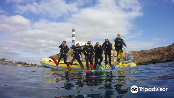Skualo Porto Cristo | Diving Center & Adventure Sports in Mallorca