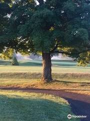 Lyman Orchards Golf Club