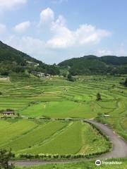 Ohaganishi Rice Terraces