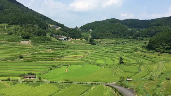 Ohaganishi Rice Terraces