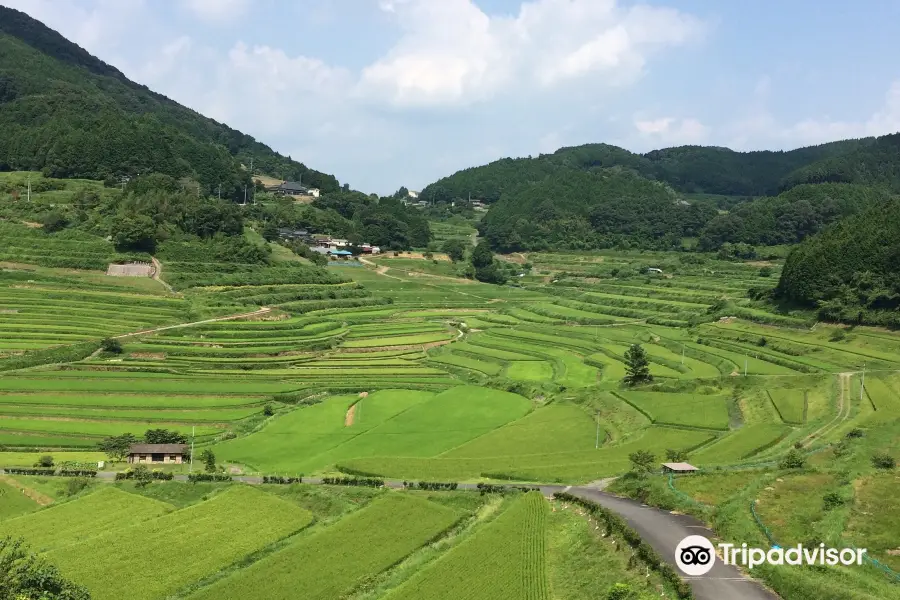 Ohaganishi Rice Terraces