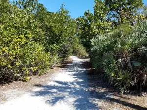 Leffis Key Preserve