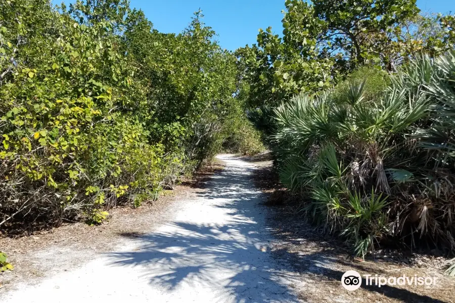 Leffis Key Preserve