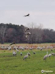 Jasper-Pulaski Fish and Wildlife Area