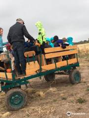 New Sweden Farms Idaho Falls Corn Maze and Pumpkin Patch